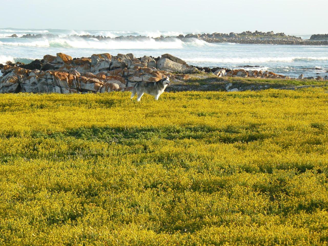 شقة أقولاس  في House Of 2 Oceans المظهر الخارجي الصورة